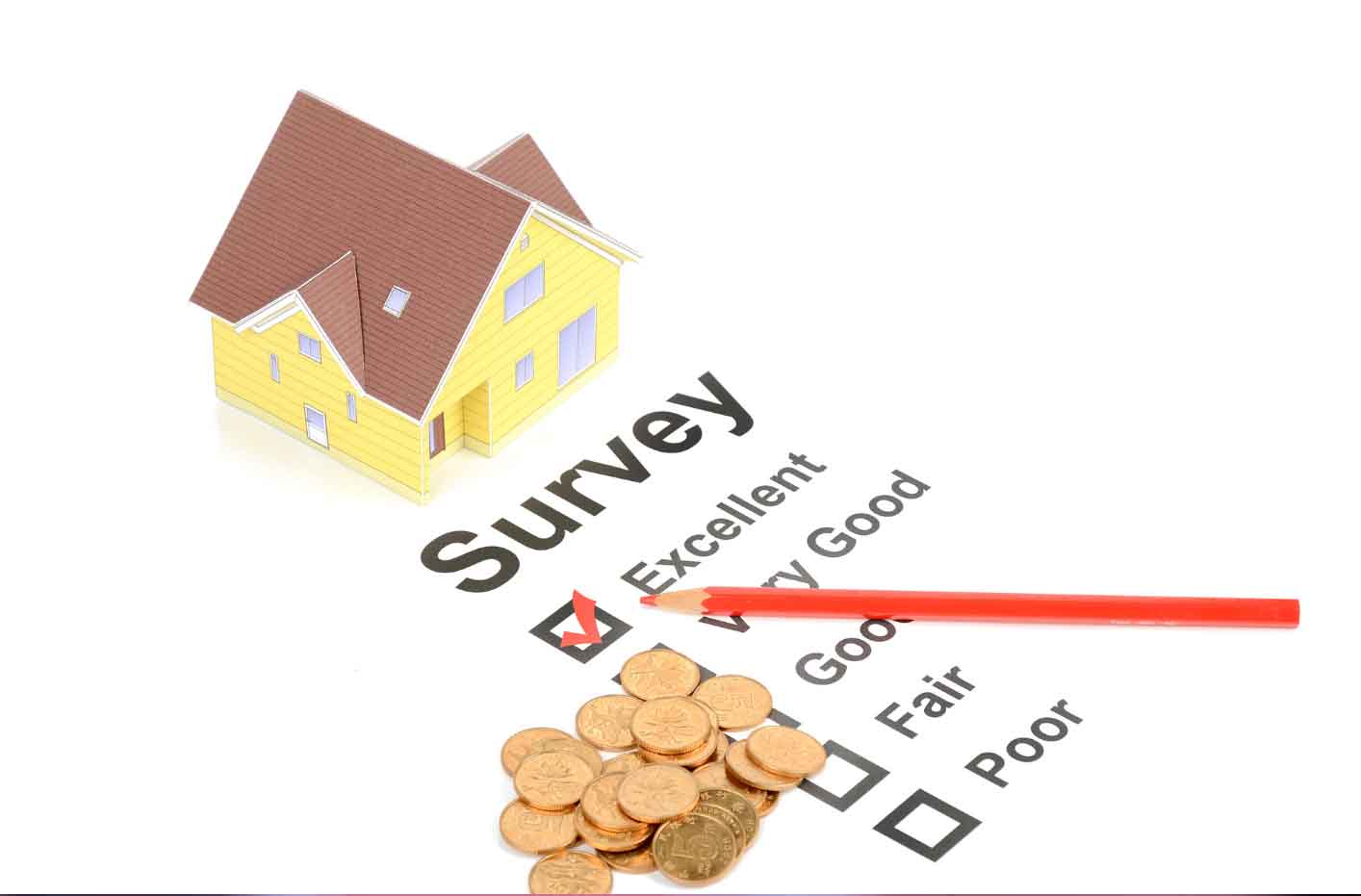 Property Surveyor